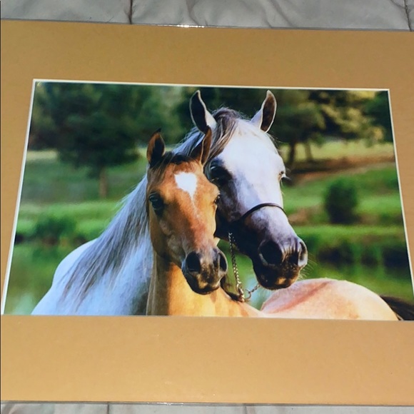 NWT, Beautiful horse print, measures 16x20 - Picture 2 of 2